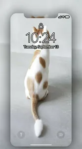 MIAW UHD Wallpaper screenshot 3