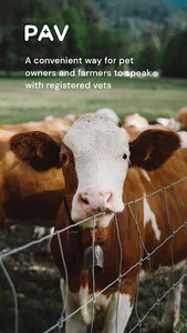 Phone A Vet screenshot 0