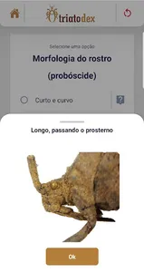 VetorDex screenshot 6