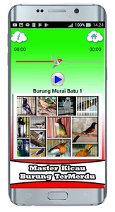 Kumpulan Suara Burung Master screenshot 2