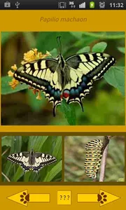 Visu Zoology Catalonian Univer screenshot 3
