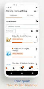 Flamingo E-learning screenshot 3