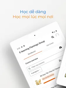 Flamingo E-learning screenshot 6