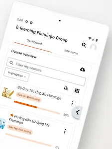 Flamingo E-learning screenshot 7