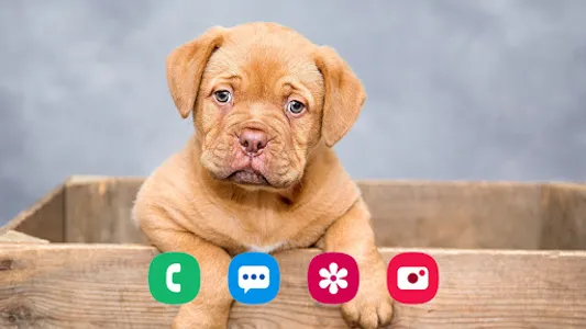 Puppy Wallpaper screenshot 12