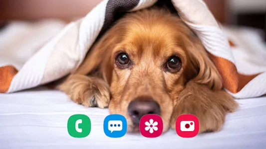 Puppy Wallpaper screenshot 8