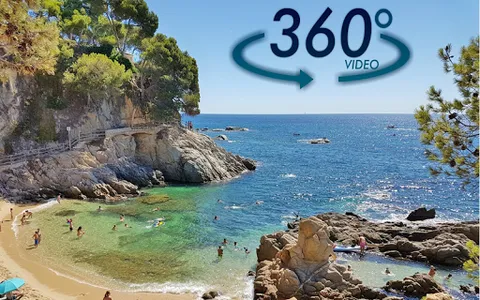 VR 360 Videos 2019, Virtual Re screenshot 3