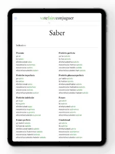 Spanish conjugation screenshot 16