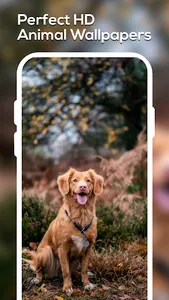Wallpaper Art screenshot 2