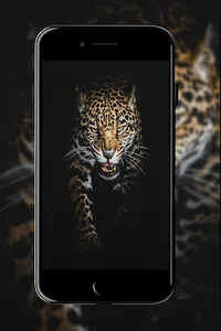 Walle 4K Wallpapers 2020 screenshot 2