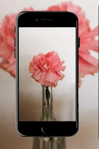 Walle 4K Wallpapers 2020 screenshot 6