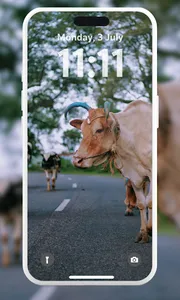 Cow Aesthetic Wallpaper screenshot 13