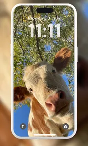 Cow Aesthetic Wallpaper screenshot 7