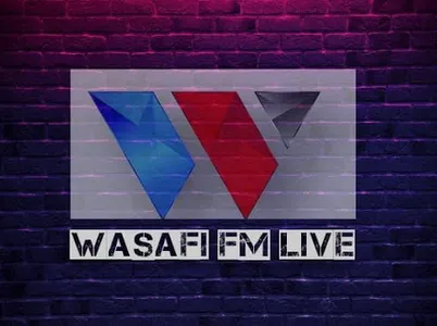 Wasafi FM Live screenshot 5