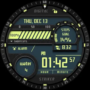 Digital Striker Watch Face screenshot 10