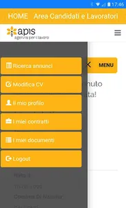 Lavoro con Apis screenshot 2