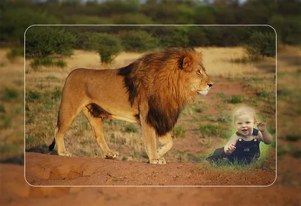 Wild Animal Photo Editor screenshot 2