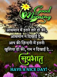 Hindi Morning & Night Wishes screenshot 0