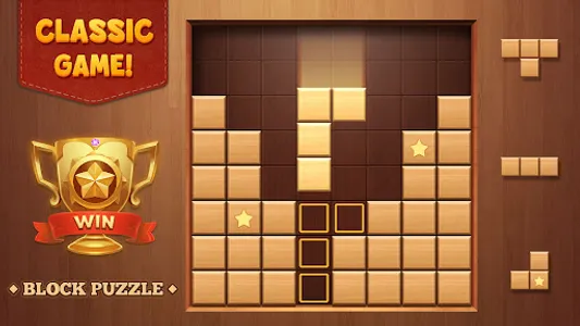 Block Puzzle Wood Blast screenshot 14