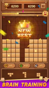 Block Puzzle Wood Blast screenshot 28