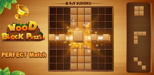 Wood Block Puzzle screenshot 17