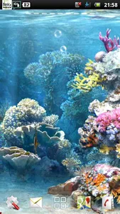 coral reef live wallpaper screenshot 4