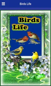 Birds Life screenshot 0