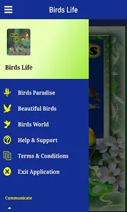 Birds Life screenshot 1