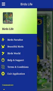 Birds Life screenshot 5