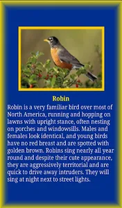 Birds Life screenshot 7