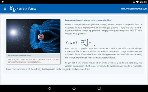 Magnetic Forces screenshot 3