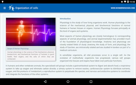 Organization of cells screenshot 5