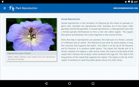 Plant Reproduction screenshot 3