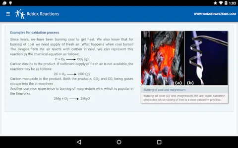 Redox Reactions screenshot 3