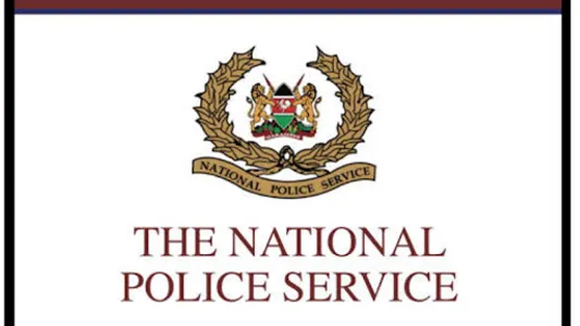 National Police screenshot 0