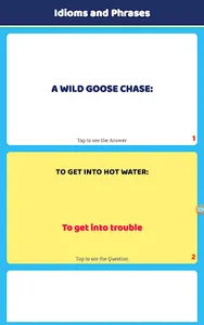 Vocabulary Flashcards: English screenshot 11