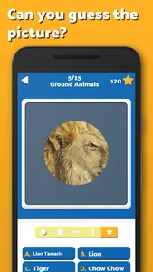 ZoomPic Picture Quiz screenshot 1