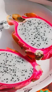 FoodFlix screenshot 6