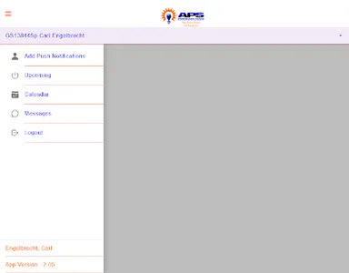 APS Optimiser screenshot 9