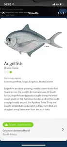 WWF-SASSI FishID screenshot 3