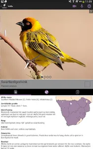 Sasol Voëls vir Beginners screenshot 12