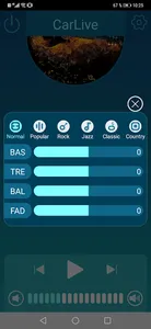 CarLive screenshot 1