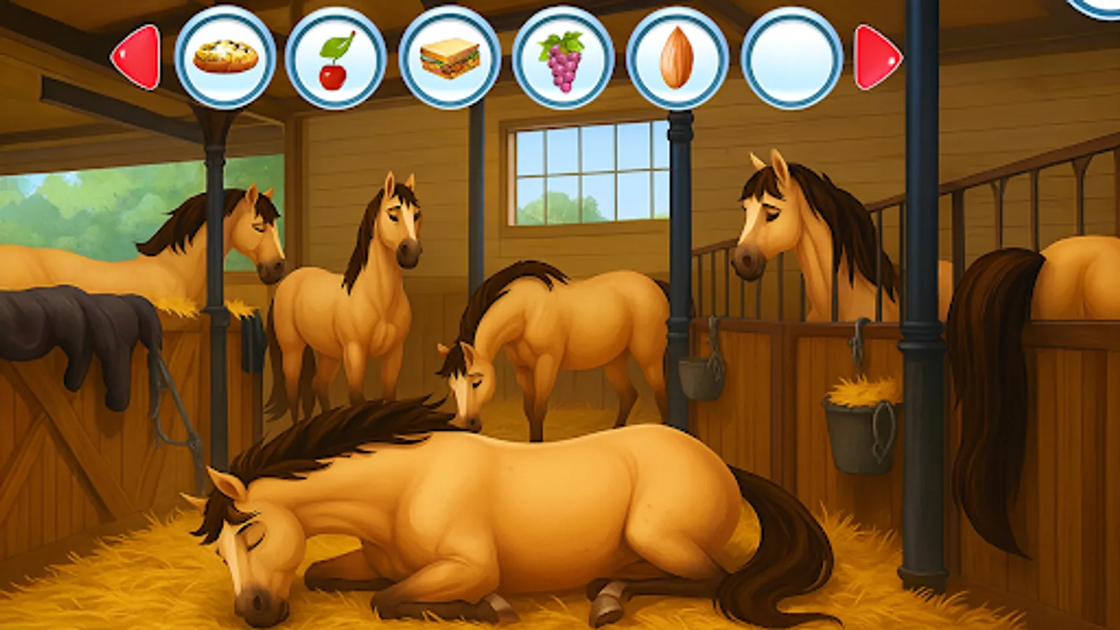Screenshot 17
