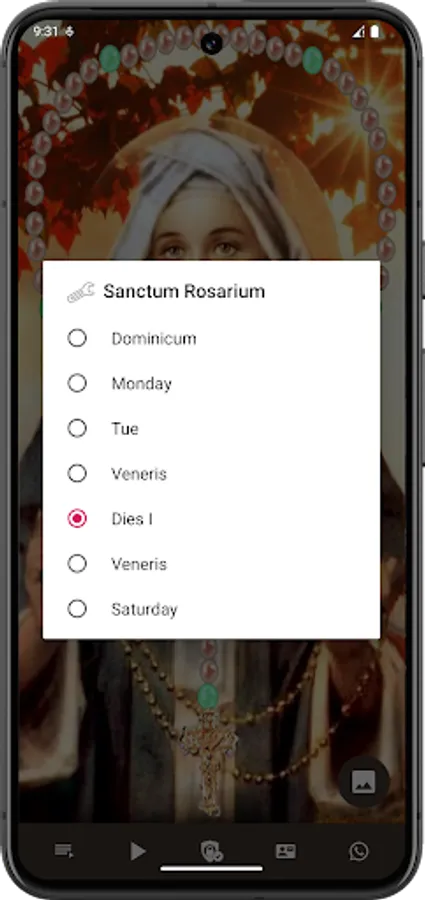 Screenshot 19