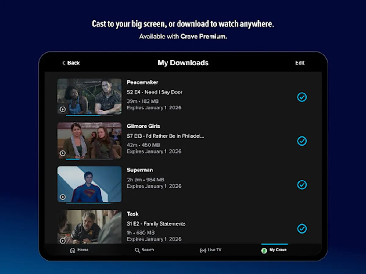 Screenshot 19