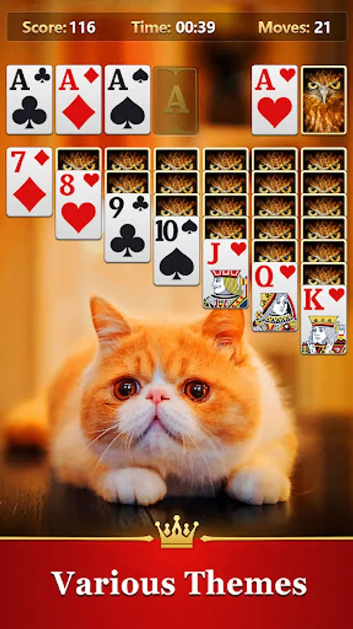 Screenshot 21