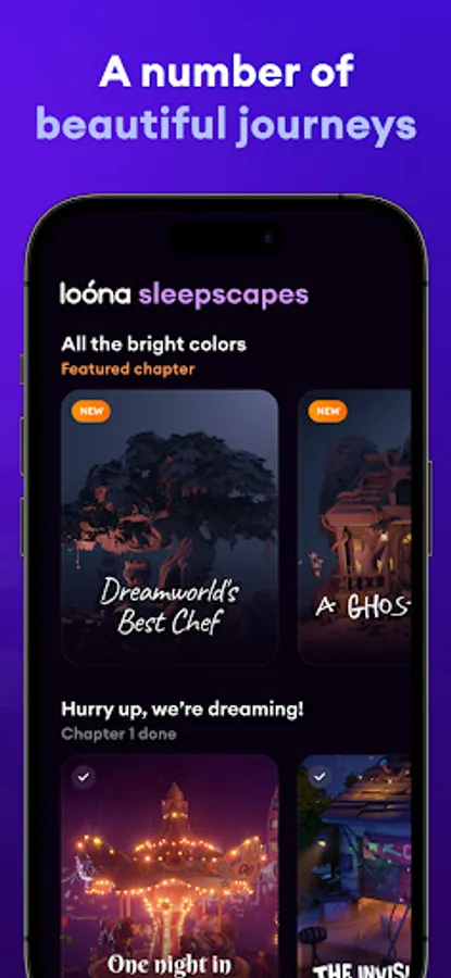 Screenshot 29
