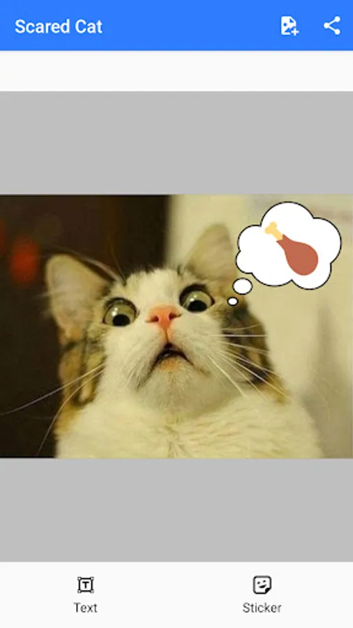 Screenshot 27
