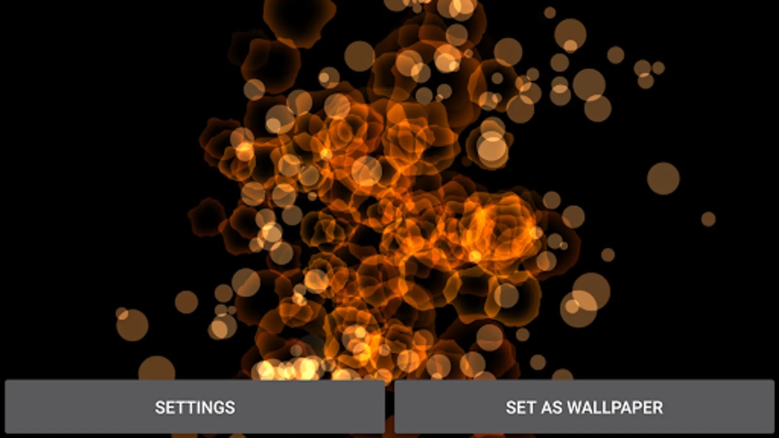 Screenshot 22