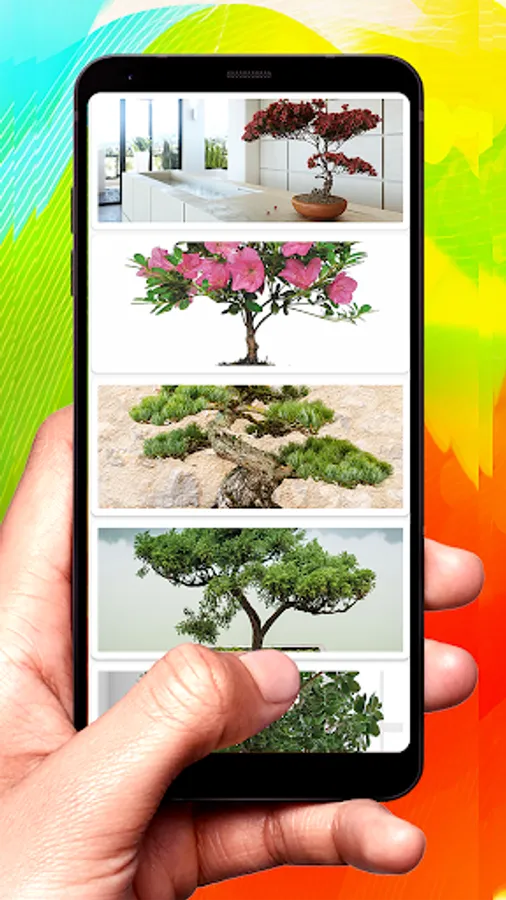 Screenshot 17